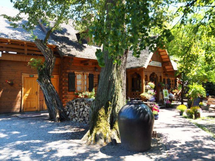 Отель Oberza Pod Zlotym Prosiakiem Неборув Экстерьер фото